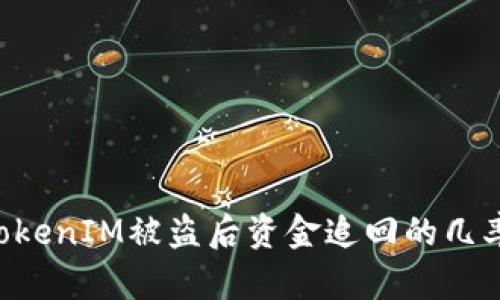 如何提高TokenIM被盗后资金追回的几率：全面指南