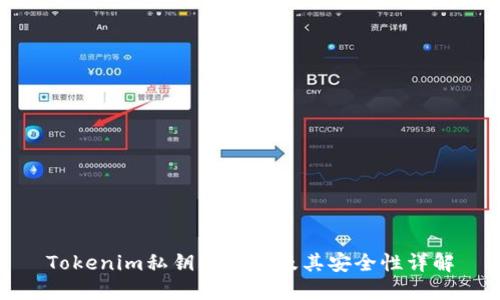 Tokenim私钥的作用及其安全性详解