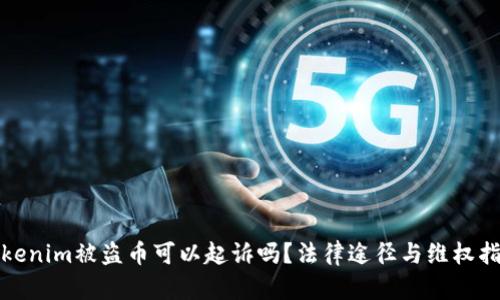 Tokenim被盗币可以起诉吗？法律途径与维权指南