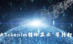 : 如何解决Tokenim转账显示