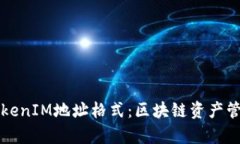 深入了解TokenIM地址格式：