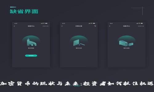 加密货币的现状与未来：投资者如何抓住机遇