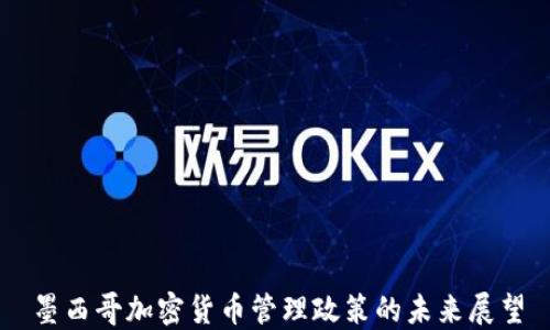 
墨西哥加密货币管理政策的未来展望