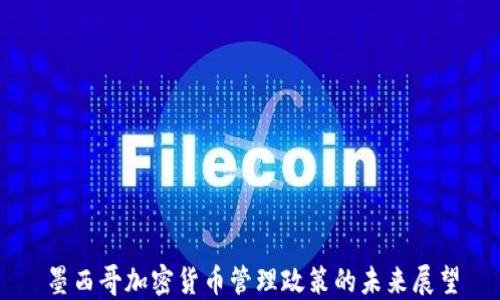 
墨西哥加密货币管理政策的未来展望