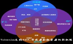 Tokenim支持ADA：开发者和投