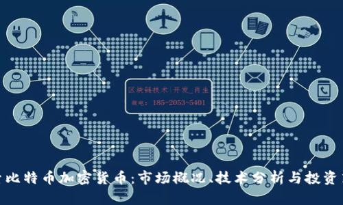 探索比特币加密货币：市场概况、技术分析与投资策略