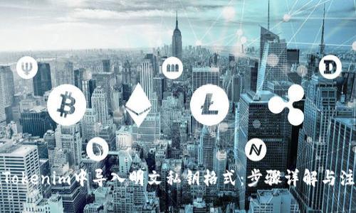 如何在Tokenim中导入明文私钥格式：步骤详解与注意事项