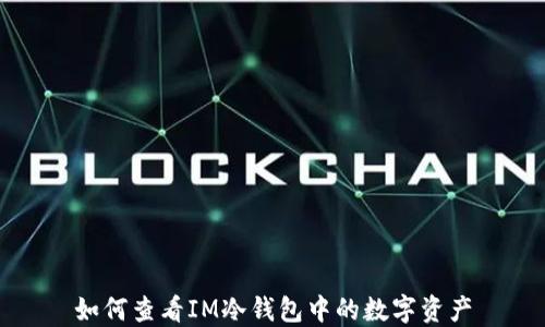 
如何查看IM冷钱包中的数字资产
