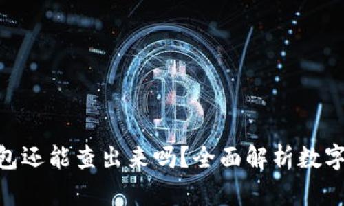 钱打入Tokenim钱包还能查出来吗？全面解析数字资产的追踪与隐私