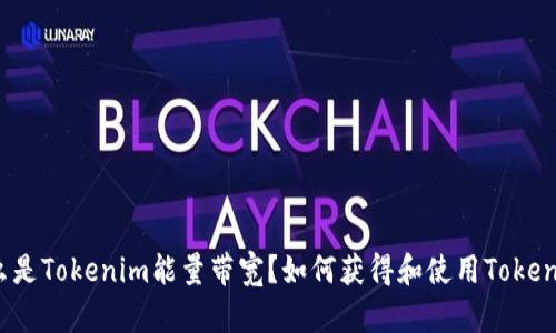 什么是Tokenim能量带宽？如何获得和使用Tokenim？