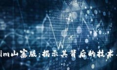 探索Tokenim山寨版：揭示其