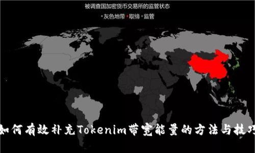如何有效补充Tokenim带宽能量的方法与技巧