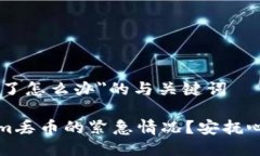 关于＂tokenim丢币了怎么办