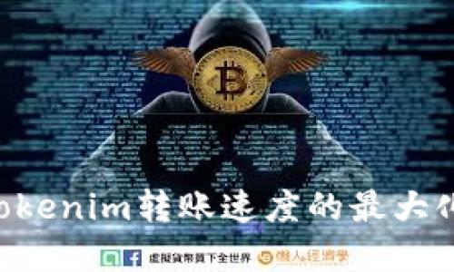 如何实现Tokenim转账速度的最大化：全面指南