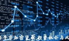 2023年牛市加密货币：投资