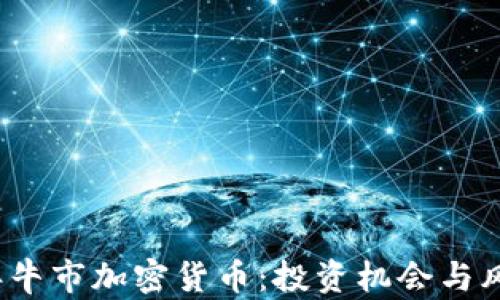 
2023年牛市加密货币：投资机会与风险分析