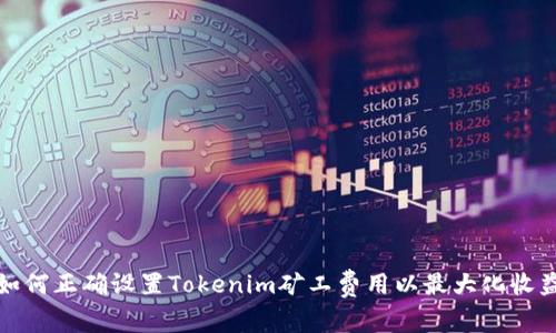 如何正确设置Tokenim矿工费用以最大化收益
