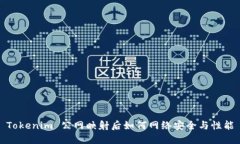 Tokenim 公网映射后如何网络