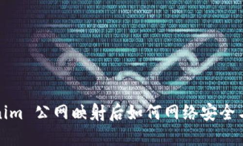 Tokenim 公网映射后如何网络安全与性能