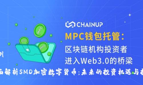 示例

全面解析SMD加密数字货币：未来的投资机遇与挑战