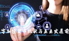 国内数字加密货币现状与