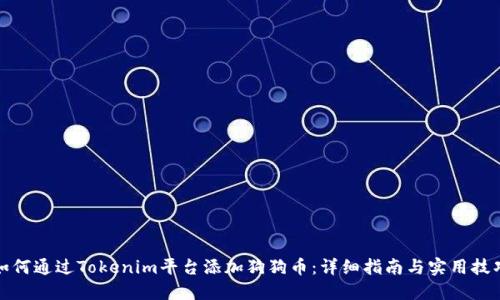如何通过Tokenim平台添加狗狗币：详细指南与实用技巧