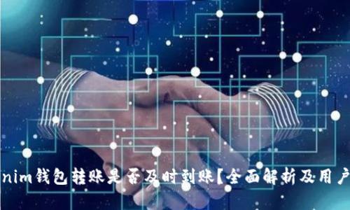 Tokenim钱包转账是否及时到账？全面解析及用户指南