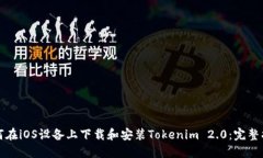 如何在iOS设备上下载和安
