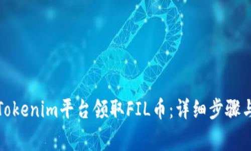 如何通过Tokenim平台领取FIL币：详细步骤与注意事项
