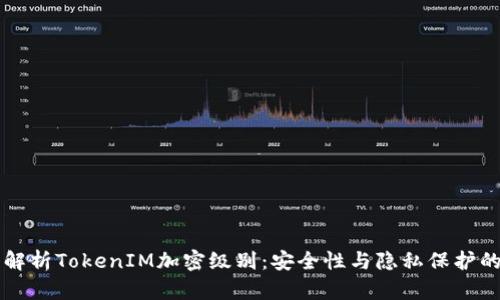 深入解析TokenIM加密级别：安全性与隐私保护的未来