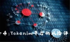 如何识别风险币：Tokenim平