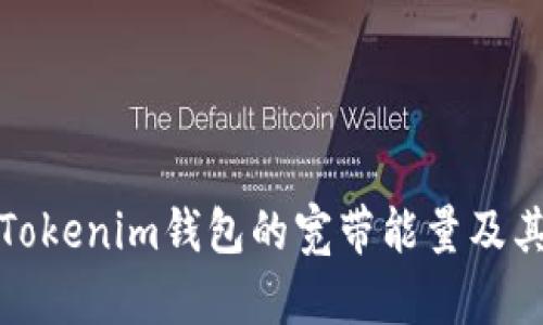 深入解析Tokenim钱包的宽带能量及其潜在影响
