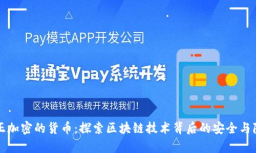 真正加密的货币：探索区块链技术背后的安全与隐私