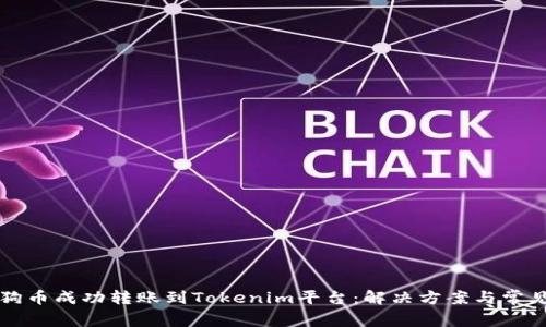 如何将狗狗币成功转账到Tokenim平台：解决方案与常见问题解析