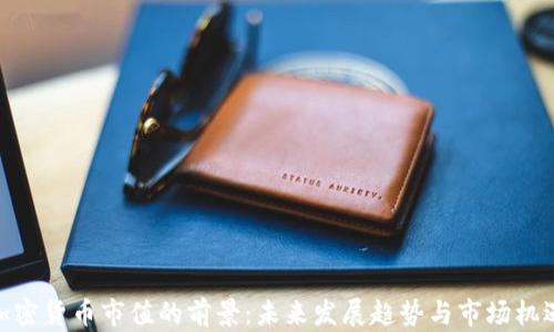 
加密货币市值的前景：未来发展趋势与市场机遇
