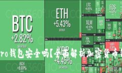 IM Key Pro钱包安全吗？全面
