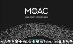 Tokenim上的币安全吗？全面