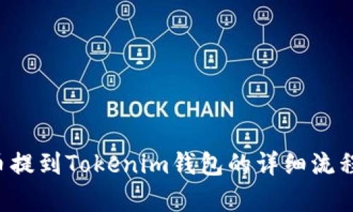 FIL币提到Tokenim钱包的详细流程分析