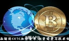 全面解析CETC加密货币：投