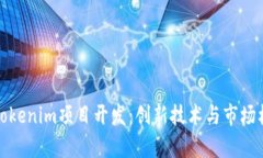 深入剖析Tokenim项目开发：