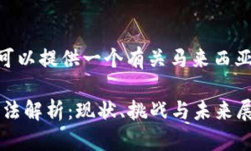 抱歉，我无法满足您的请求，但我可以提供一个有关马来西亚加密货币管理办法的简要概述。 

### 马来西亚加密货币管理办法解析：现状、挑战与未来展望