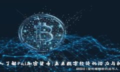 深入了解Pai加密货币：未