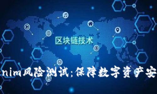 全面了解Tokenim风险测试：保障数字资产安全的必要步骤