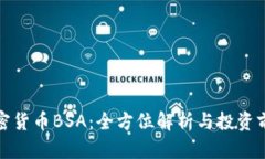 加密货币BSA：全方位解析