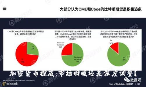 加密货币探底：市场回暖还是深度调整？