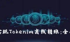 如何实现Tokenim离线转账：