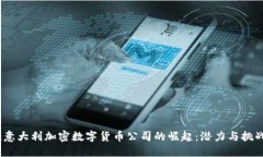 :意大利加密数字货币公司