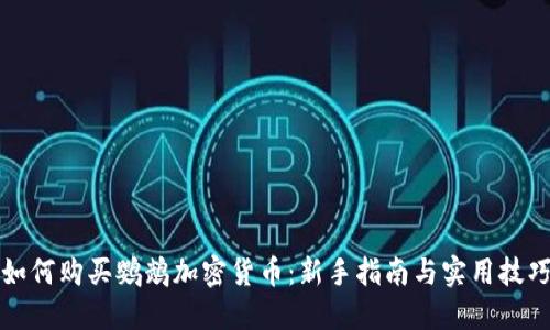 如何购买鹦鹉加密货币：新手指南与实用技巧