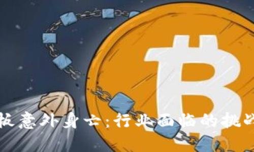 加密货币老板意外身亡：行业面临的挑战与未来展望