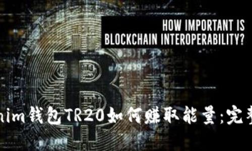 Tokenim钱包TR20如何赚取能量：完整指南